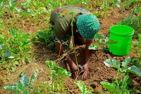 photo_2025-04-07_14-00-17